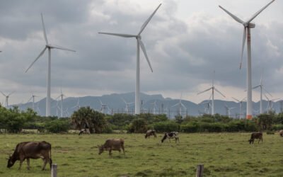 Las comunidades indígenas pierden sin la inversión de proyectos renovables